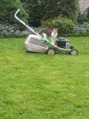 Rocky + Sammy 2019 - 2023 (227).jpg