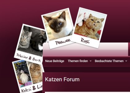 Screenshot 2025-03-11 162056.jpg