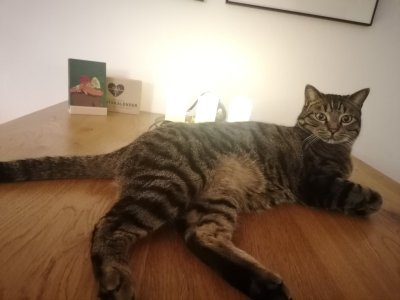 IMG_20241201_213037 (1).jpg