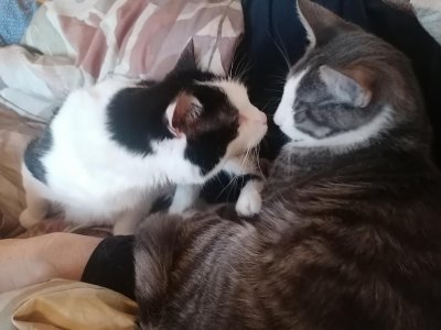 Maggie und Larry.jpg