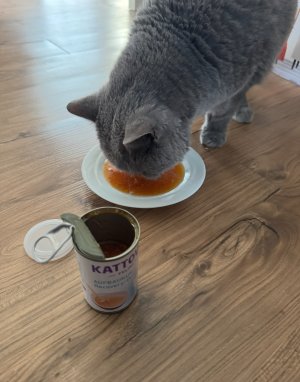 IMG_2131.jpeg IMG_2131.jpeg