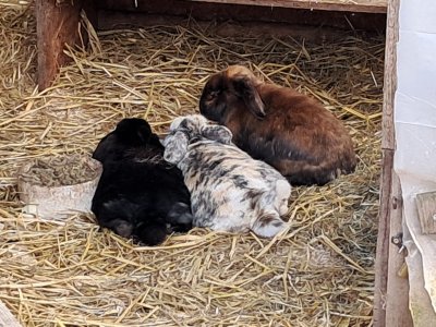 1000188264.jpg 1000188264.jpg