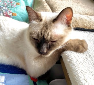 IMG_6022.jpeg IMG_6022.jpeg