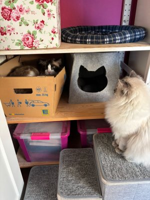 2025-05-14_14-12-57_000 (2025-05-14T12_15_03.538).jpg