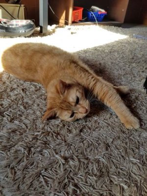 20250404_091552 (1).jpg