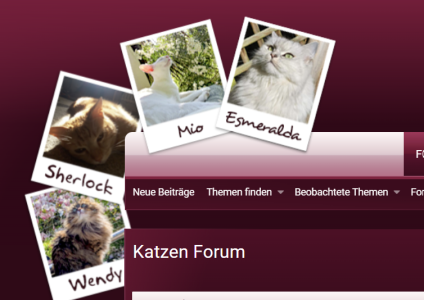 Screenshot 2025-06-10 121034.png