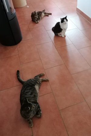 b66f94bf-b3b6-4b77-926f-9a1c36356f57 (3).jpg