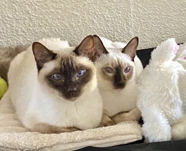 IMG_8860.jpeg IMG_8860.jpeg