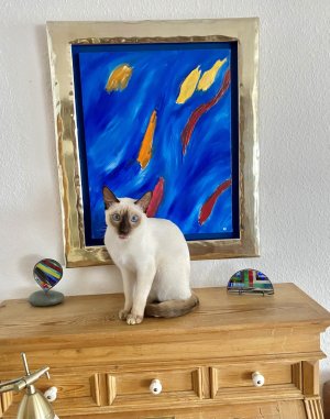 IMG_9470.jpeg IMG_9470.jpeg