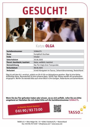 TASSO_Suchplakat_S2984275.jpg