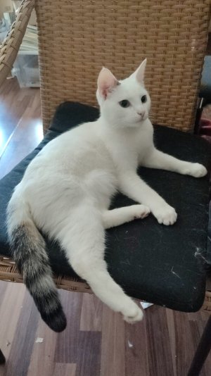 WhatsApp Bild 2025-07-18 um 22.32.43_9eabeae5.jpg