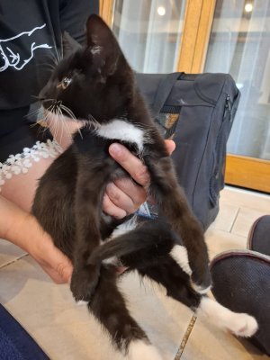 WhatsApp Image 2025-07-19 at 18.19.57 (2).jpeg