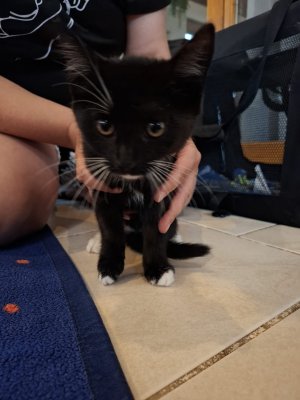 WhatsApp Image 2025-07-19 at 18.19.57 (1).jpeg