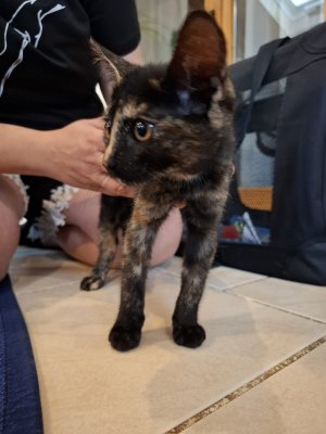 WhatsApp Image 2025-07-19 at 18.19.57.jpeg