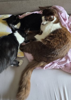 20250721_150420.jpg 20250721_150420.jpg