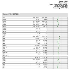 Screenshot_20250731_105555_Samsung Notes.jpg