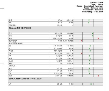 Screenshot_20250731_105610_Samsung Notes.jpg