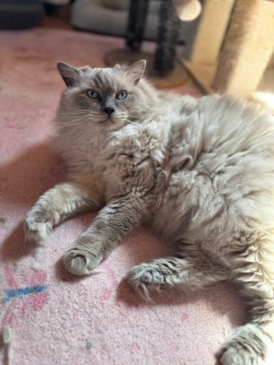 2025-08-01_12-34-15_000 (2025-08-03T10_36_00.396).jpg