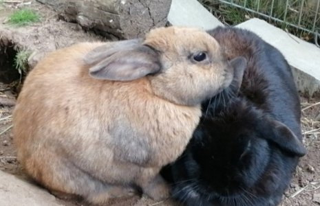 1000231099.jpg 1000231099.jpg