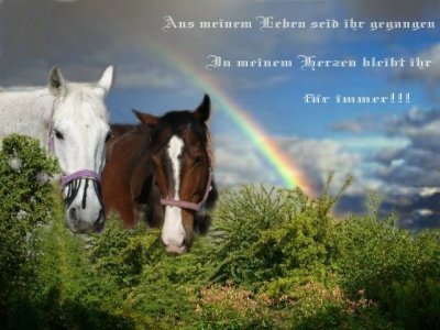 Fibo und Opi unter dem Regenbogen2.JPG