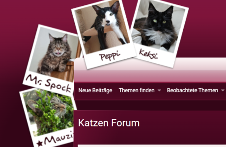 Screenshot 2025-09-04 132058.png