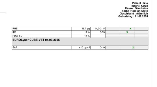 Screenshot_20250904_144749_Samsung Notes.jpg