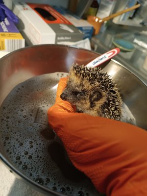 1000241026.jpg 1000241026.jpg