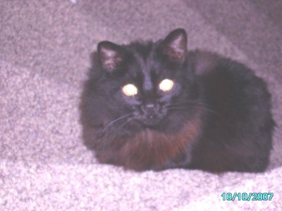 2007-10-11 017.jpg 2007-10-11 017.jpg