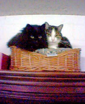 bild(19).jpg bild(19).jpg