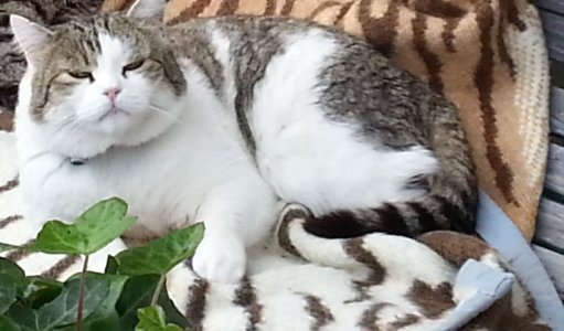 20160525_175730bearb..jpg 20160525_175730bearb..jpg