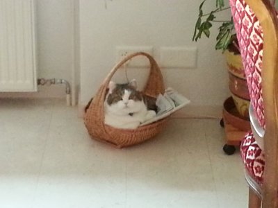 20131207_094200.jpg 20131207_094200.jpg