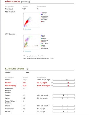 blutbild 2.jpg