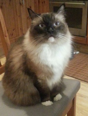 2017-02-06 21.22.46.jpg