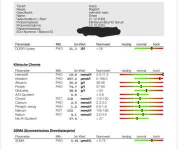 Screenshot_20251017_103351_Samsung Notes.jpg