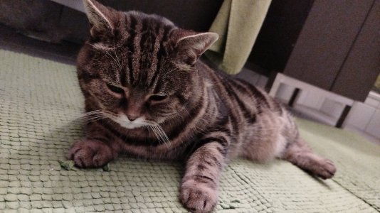 1000272226.jpg 1000272226.jpg