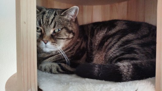 1000272413.jpg 1000272413.jpg