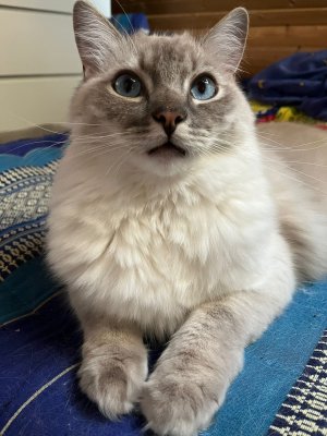 2024-07-26_12-53-17_000 (2024-07-27T19_55_50.299).jpg