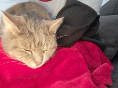 1000121920.jpg 1000121920.jpg