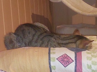 20260115_215002.jpg 20260115_215002.jpg