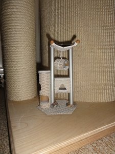 DSC01484 (768x1024).jpg