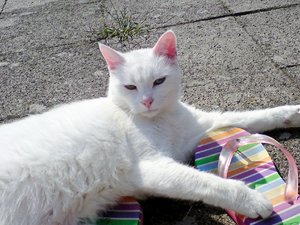 Bilder Handy bis Dez 10 035.JPG