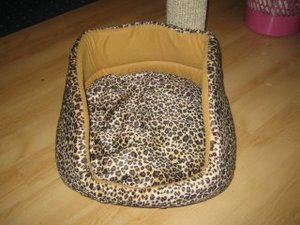 Katzenbettchen 001.jpg