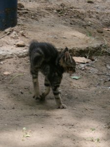 IMG_1367 - Kopie.JPG