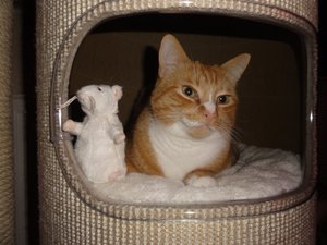 DSC01492 (1024x768).jpg