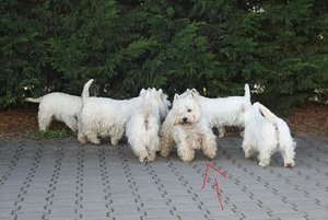 Duncan in Action.JPG