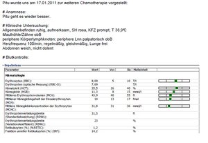Pitù 17.01.2012 Bericht und Blutwerte Teil 1.jpg