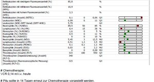 Pitù 17.01.2012 Bericht und Blutwerte Teil 2.jpg