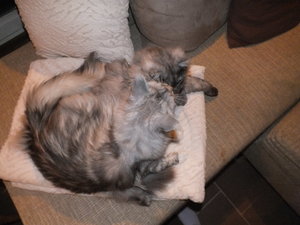 Wasserschaden 05.01.2012 018.JPG