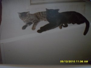 Minnie-Mikesch 008 [800x600].jpg