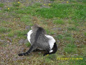 mit Streunerle 4 011 [800x600].jpg